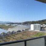 BASEⅡ