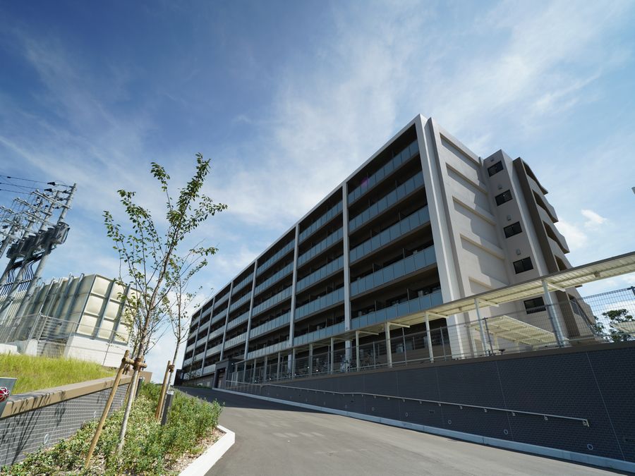 セトルインターナショナル